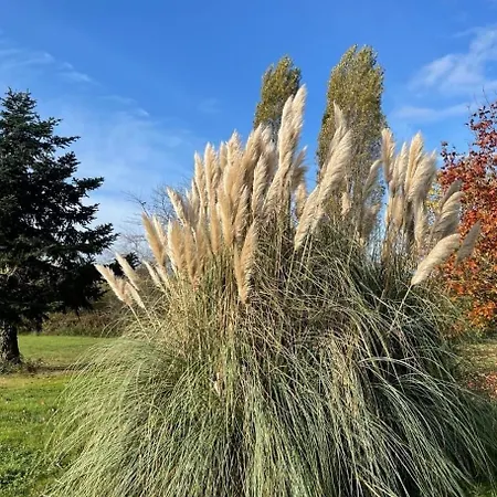 Clos De La Source Gironde Bed & Breakfast Saint-Martin-du-Bois (Gironde)