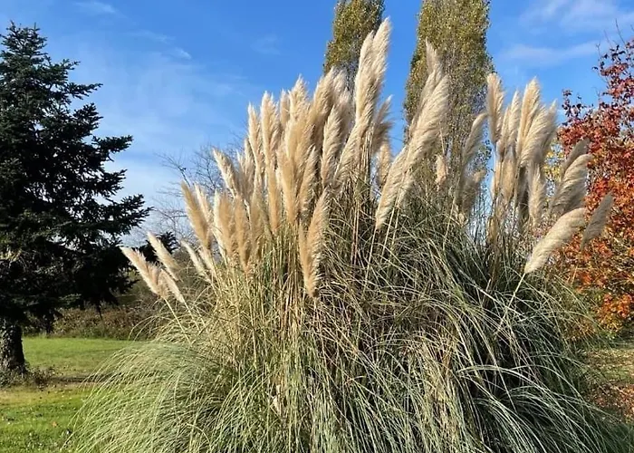 Clos De La Source Gironde 住宿加早餐酒店 Saint-Martin-du-Bois (Gironde)